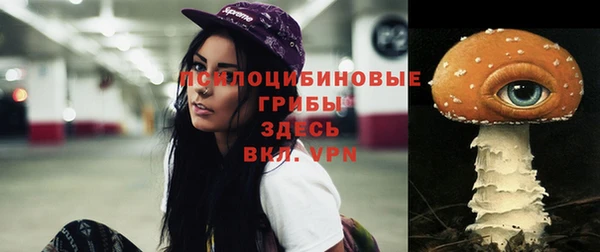 марки nbome Нефтекумск