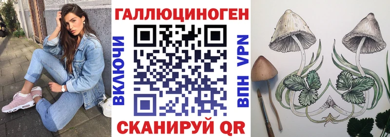 Купить  Муром  Псилоцибиновые грибы Psilocybe 